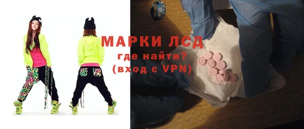 стаф Баксан