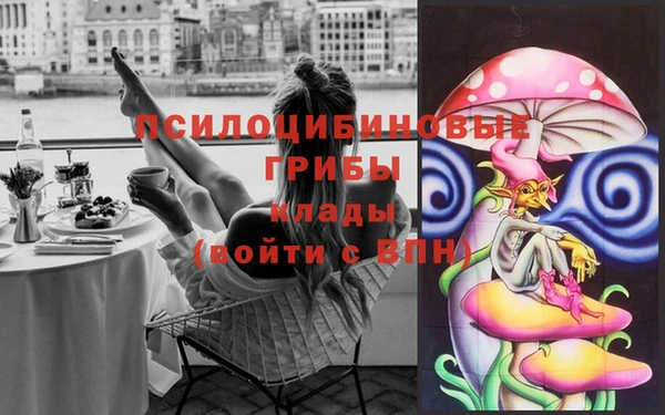 spice Балабаново