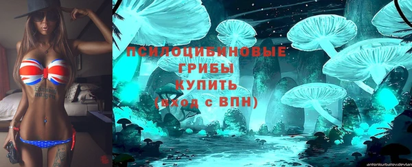 spice Балабаново